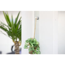 โหลดรูปภาพลงในโปรแกรมดูแกลเลอรี แม่เหล็ก Magever ใช้สำหรับหนีบ Mag Sand i-hook สีขาว แม่เหล็กแรงสูง ตะขอแม่เหล็ก Neodymium 1-0214SAND-IW MAGEVER