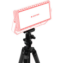 画像をギャラリービューアに読み込む, LEDLENSER AF12C Work 502914 LEDLENSER