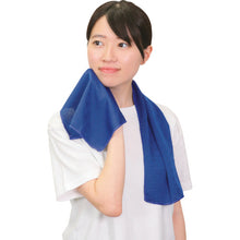 โหลดรูปภาพลงในโปรแกรมดูแกลเลอรี Artec ผ้าขนหนูเย็น สีฟ้า 51167 Artec