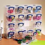 Load image into gallery viewer, RUP storage case organizer 0.3L clear