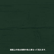 画像をギャラリービューアに読み込む, KANSAI キシラデコール タンネングリーン 14L