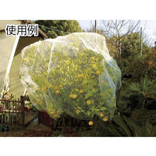 Load image into gallery viewer, DIO Inconspicuous Transparent Bird Repellent Net 2m x 8m White