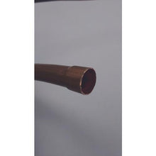 将图像导入到图库查看器中BBK扩张器