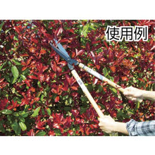 将图像导入到图库查看器中Kanenori修边剪刀帕克完成与安来钢白橡木手柄包括