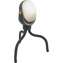 画像をギャラリービューアに読み込む, ライテックス どこでもセンサーライト300