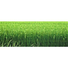 Tải hình ảnh vào trình xem thư viện, Dây dạ quang chống chim TRUSCO màu vàng đường kính 0.44mmx500m