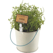 โหลดรูปภาพลงในโปรแกรมดูแกลเลอรี OP คลิปโฮลเดอร์ 5 ชิ้น