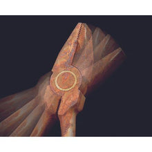 将图像导入到图库查看器中KEIBA高级钳子 2com。手柄 175