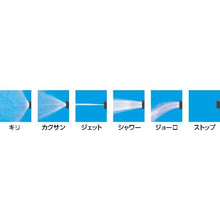 โหลดรูปภาพลงในโปรแกรมดูแกลเลอรี IRIS 252127 ม้วนสายยางแบบครอบเต็ม HG