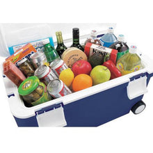 画像をギャラリービューアに読み込む, ASTAGE フォレスクルー#45 Dブルー