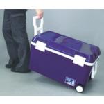 画像をギャラリービューアに読み込む, ASTAGE フォレスクルー#45 Dブルー