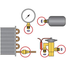 Tải hình ảnh vào trình xem thư viện, ASADA ASVEL Tight 1/4 (10 cái)