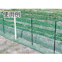 将图像导入到图库查看器中Wide Cloth兽网孔型