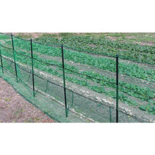 将图像导入到图库查看器中Wide Cloth兽网孔型