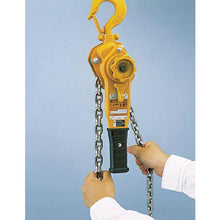 โหลดรูปภาพลงในโปรแกรมดูแกลเลอรี Kito ชุดคันโยก Kito L5 พิกัดโหลด 3.2t ลิฟท์มาตรฐาน 1.5m