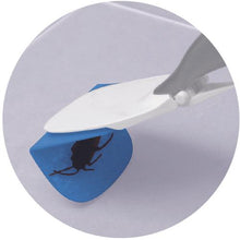 โหลดรูปภาพลงในโปรแกรมดูแกลเลอรี CAR-BOY petatto เห็ด