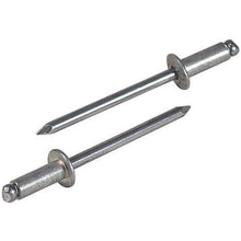 画像をギャラリービューアに読み込む, エビ ブラインドリベット(アルミ/アルミ製) 4-6(40本入) エコパック