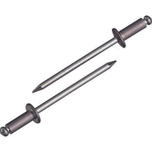 画像をギャラリービューアに読み込む, エビ ブラインドリベット(アルミニウム/スティール製) 4-3(80本入) エコパック