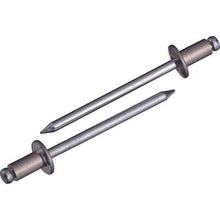 画像をギャラリービューアに読み込む, エビ ブラインドリベット(アルミニウム/スティール製) 5-2(65本入) エコパック