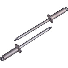 画像をギャラリービューアに読み込む, エビ ブラインドリベット(アルミニウム/スティール製) 5-8(45本入) エコパック