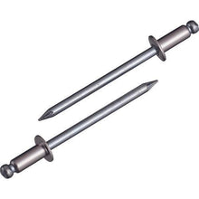 画像をギャラリービューアに読み込む, エビ ブラインドリベット(ステンレス/スティール製) 4-3(45本入) エコパック