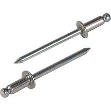 画像をギャラリービューアに読み込む, エビ ブラインドリベット(ステンレス/スティール製) 5-8(20本入) エコパック