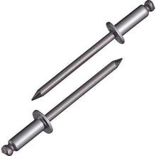 Tải hình ảnh vào trình xem thư viện, Đinh tán tôm (inox/inox) 6-6 (1000 cái) đóng hộp