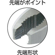 โหลดรูปภาพลงในโปรแกรมดูแกลเลอรี ENGINEER Nejisaurus M2