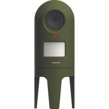 画像をギャラリービューアに読み込む, ムサシ 猫しっし