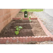 画像をギャラリービューアに読み込む, ムサシ 猫しっし