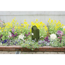 画像をギャラリービューアに読み込む, ムサシ 猫しっし