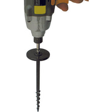 画像をギャラリービューアに読み込む, TRUSCO スクリューキーパー 50本入