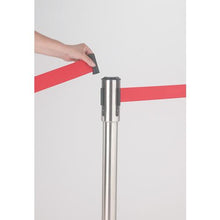 โหลดรูปภาพลงในโปรแกรมดูแกลเลอรี TERAMOTO Belt Partition Stand D (Stainless Steel) Belt Blue