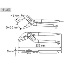 画像をギャラリービューアに読み込む, エビ ハイブリッドアンギラス 240mm