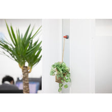 โหลดรูปภาพลงในโปรแกรมดูแกลเลอรี แม่เหล็ก Magever ใช้งานโดยการหนีบ Magsand i-hook สีแดง แม่เหล็กแรงสูง ตะขอแม่เหล็ก Neodymium 1-0238SAND-IR MAGEVER
