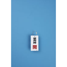 Load image into gallery viewer, GREEN CROSS Wiring (Key Wire) Metal Fittings 27 1.0Φ×120mm 10 Pieces Stainless Steel 137270 GREEN CROSS
