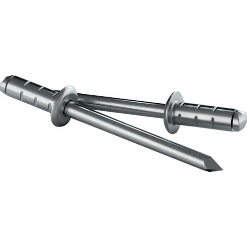 Gesipa Refill Rivets PolyGrip [[R Top]] Nhôm/Thép 50 miếng Φ4,8mm x 10 mm 1433850 GESIPA