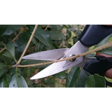 โหลดรูปภาพลงในโปรแกรมดูแกลเลอรี กรรไกรแข็ง ALLEX H−1 15151 ALLEX
