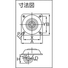 画像をギャラリービューアに読み込む, ハンマー　オールステンレス低床旋回式強化ナイロン車輪　３２ｍｍ　Ｈ３０　  320TP-N32 H30BA  HAMMER CASTER
