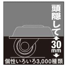 画像をギャラリービューアに読み込む, ハンマー　オールステンレス低床固定式強化ナイロン車輪　３２ｍｍ　Ｈ３０　  320TPR-N32 H30BA  HAMMER CASTER
