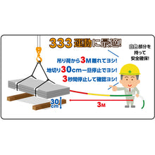 Load image into gallery viewer, TAIYO 3・3・3介錯rope(1012889) 1012889 TAIYO

