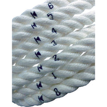 将图像导入到图库查看器中TAKAGI博留君（三冲程型） 6mm 36-6751 TAKAGI
