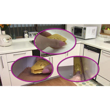 Load image into gallery viewer, FUMAKILLA Cockroach exterminator Boric acid dango original half catfish 18 pieces 434538 FUMAKILLA
