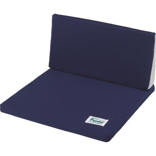 Soft99 BODY DOCTOR MULTIFIT PONTO INDIGO BLUE