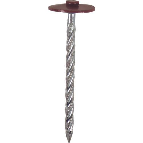 ダイドーハント　カラー傘釘　２０本入　♯１３Ｘ４１　ワインレッド
