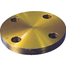 Load image into gallery viewer, Ishiguro black closing flange BL-FF type SS400 equivalent 10K nominal diameter (A) 15

