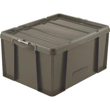 Load image into gallery viewer, RICHELL Latch Container 66WB Green
