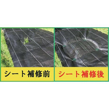 画像をギャラリービューアに読み込む, Ｄｉｏ　防草シート補修セット高密度防草シート１ｍ×１ｍハンマーピン１８ｃｍ４本入
