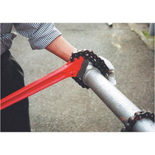 将图像导入到图库查看器中RIDGE链扳手 600mm
