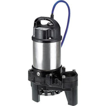 画像をギャラリービューアに読み込む, ツルミ　海水用水中チタンポンプ　６０ＨＺ　口径４０ｍｍ　単相１００Ｖ

